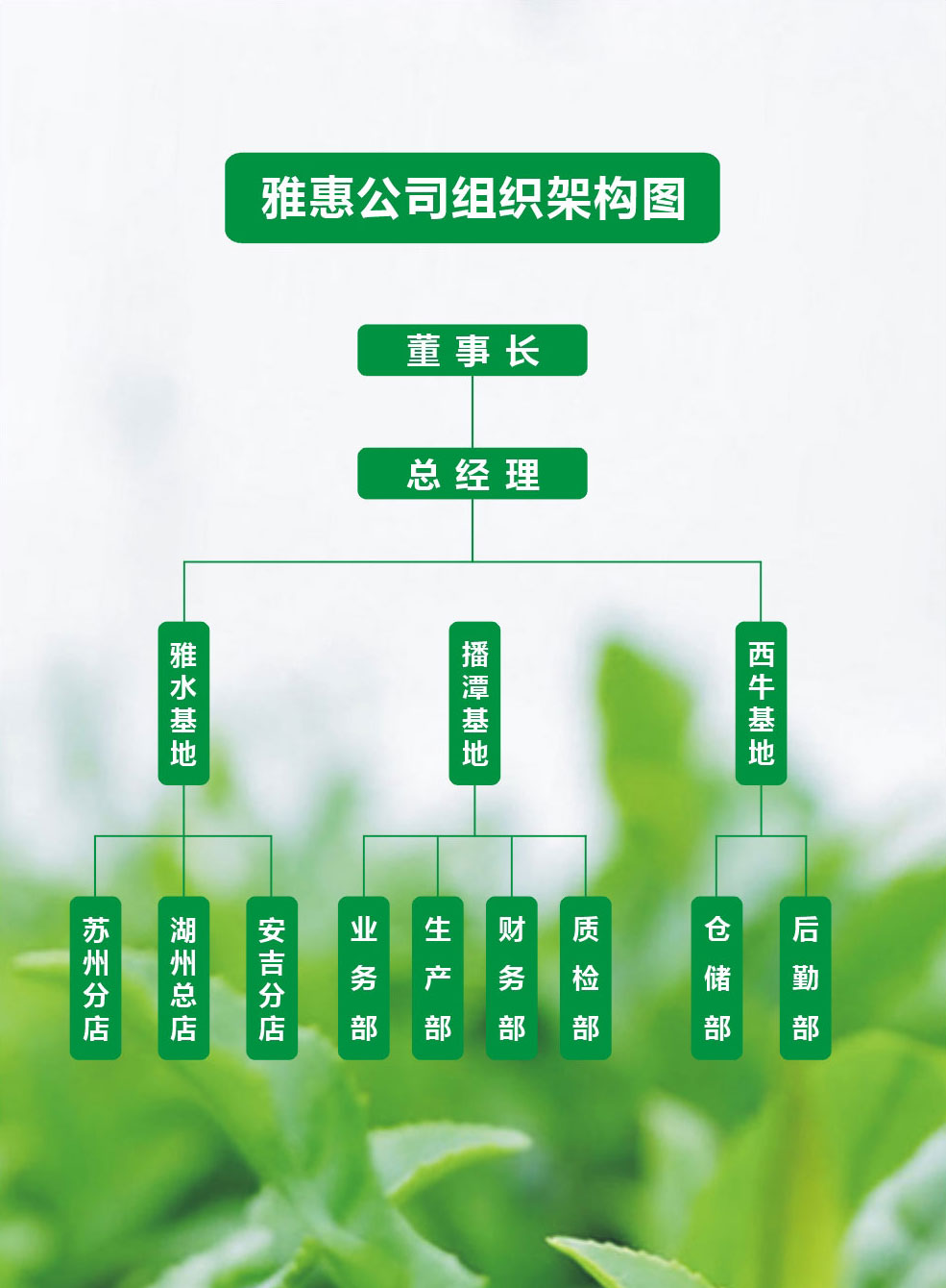 組織機(jī)構(gòu)