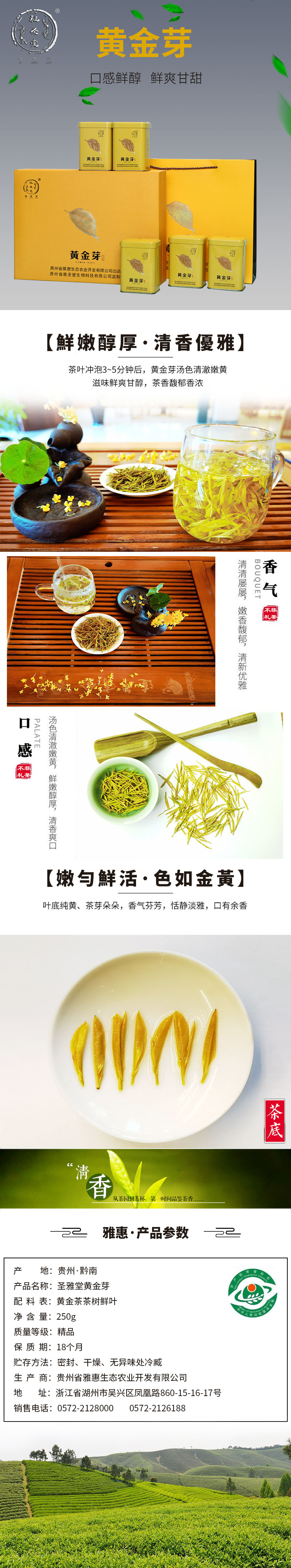 惠水雅圣堂黃金芽