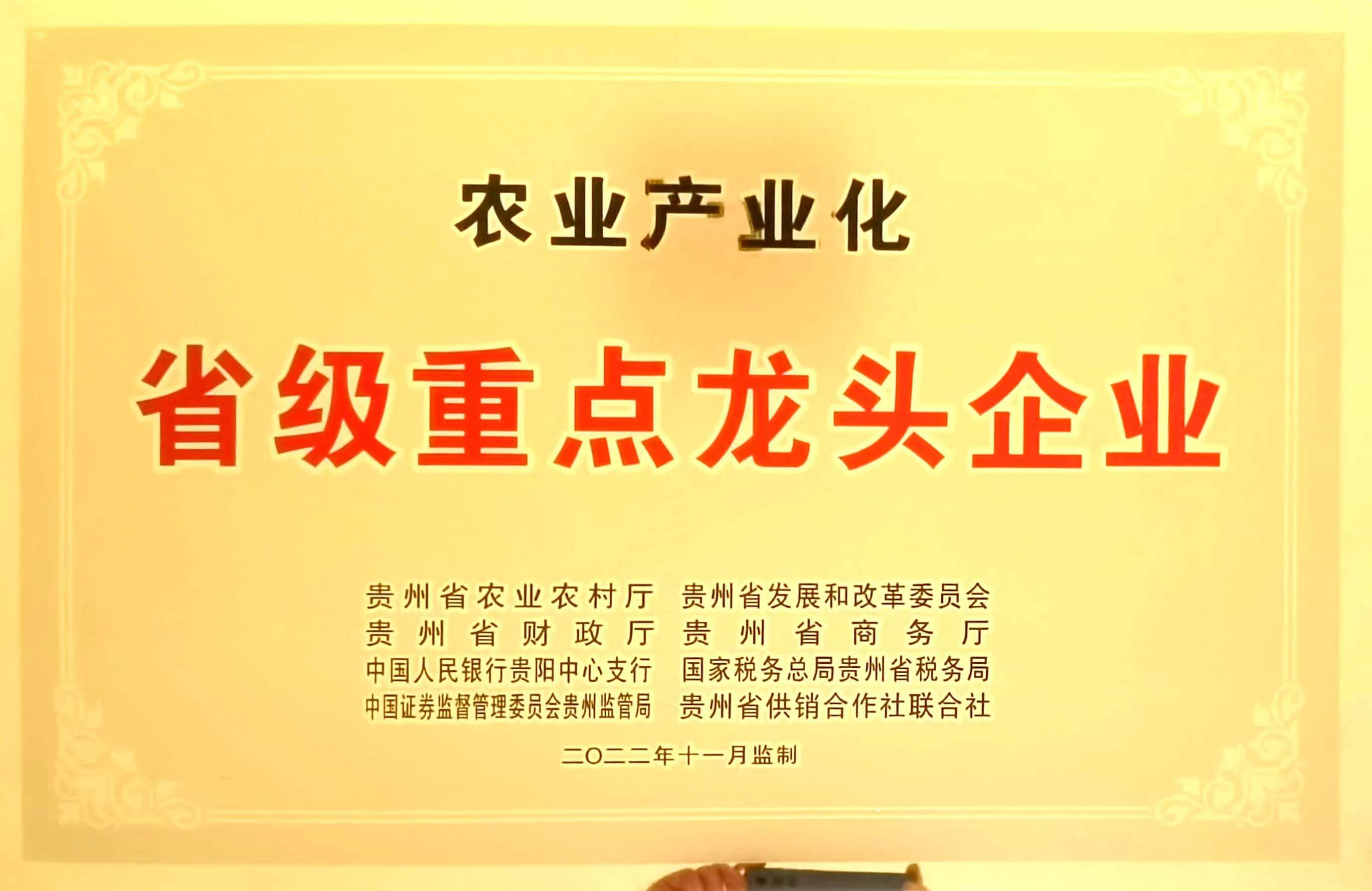 省級(jí)龍頭企業(yè)